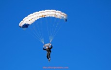 世俱杯直播-世俱杯比赛实况视频直播及赛场精彩回放