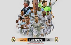 世俱杯直播-跪着的健身器材：跪姿训练用健身器材介绍与使用方法