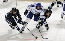 世俱杯直播-龙珠直播西甲美女主播精彩解说合集