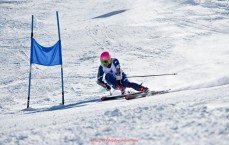 世俱杯直播-德甲球队官方签名球衣高清图片合集，足球迷收藏必备